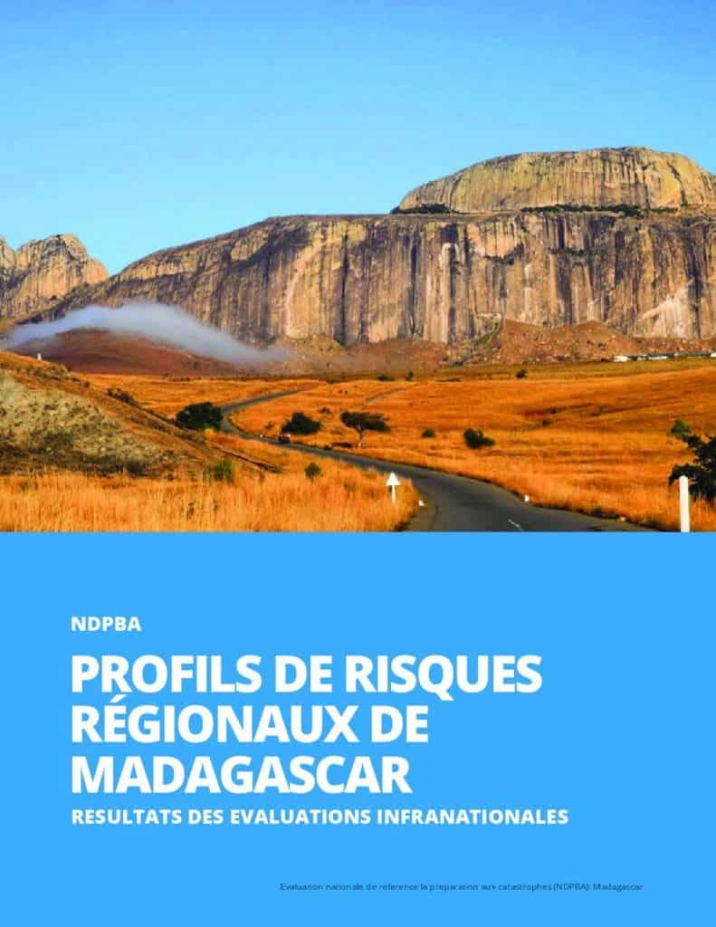 NDPBA_Madagascar_Subnational_Profiles_Merged_French