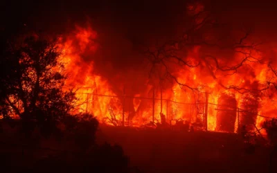Anticipating wildfires: New AI-enhanced risk intelligence